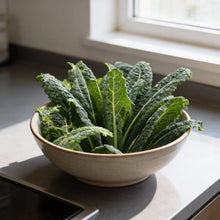 Kale Black Toscana Seeds for Home Garden