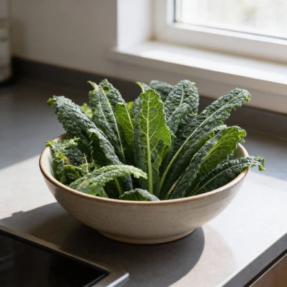 Kale Black Toscana Seeds for Home Garden