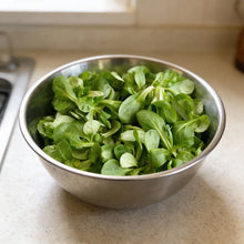 Corn Salad Verte De Cambrai Seeds