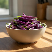 Pepper Buena Mulata Seeds for Home Gardening