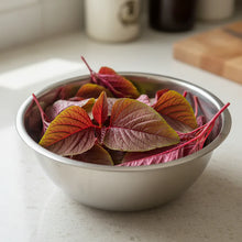 Amaranth Red Garnet Seeds for Home Garden