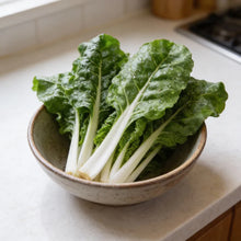 Fordhook Giant Spinach Seeds for Home Garden