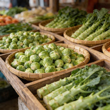 Brussels Sprout Brest F1 Hybrid Vegetable Seeds for Home Garden