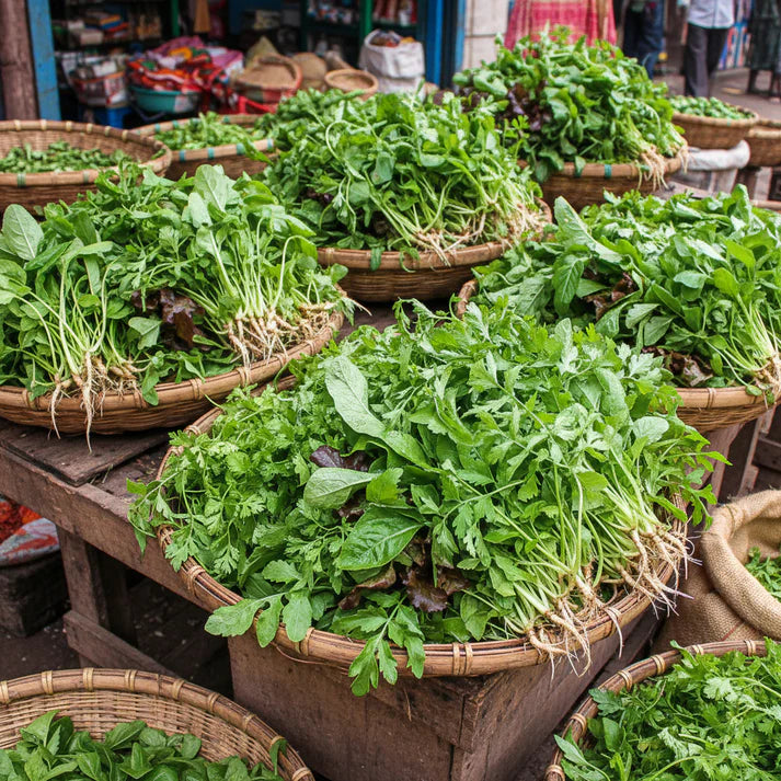 Mixed Oriental Leaves Seeds for Home Garden