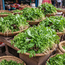 Mixed Oriental Leaves Seeds for Home Garden