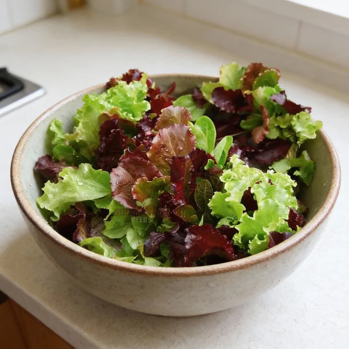 Lettuce Mixed Baby Leaf Seeds for Home Garden