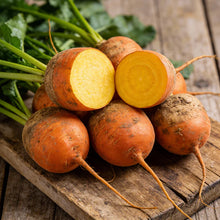 Yellow Intermediate Mangel Beet Seeds for Home Gardening