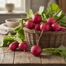 Pink Radish Seeds for Fast Growing Root Harvests