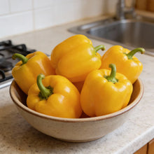 Organic Red Shimla Mirchi and Yellow Capsicum Seed Pack