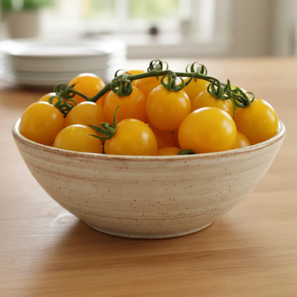 Big Yellow Tomato Seeds for Home Garden