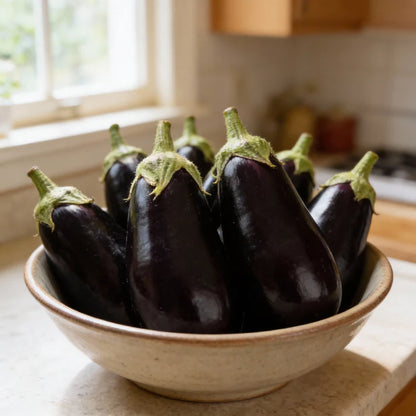 Brinjal F1 Crypton Kranti Vegetable Seeds – Eggplant for Planting