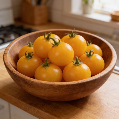Solanum Atropurpureum Seeds – Purple Nightshade Seeds for Garden