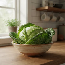 Greyhound Heirloom Cabbage Seeds for Home Garden