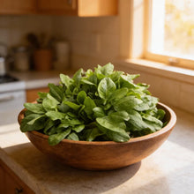 Sorrel Seeds for Home Garden