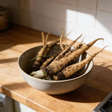 Salsify Sandwich Island Seeds for Home Gardening