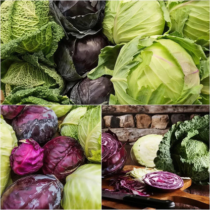Cabbage Heirloom Mix Seeds for Home Garden