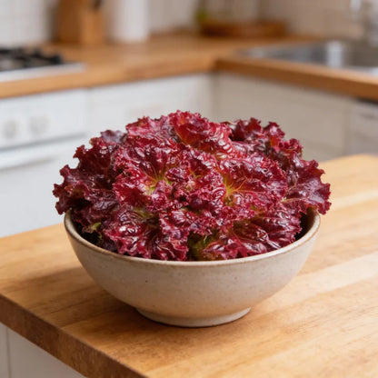 Red Velvet Lettuce Seeds for Home Gardens