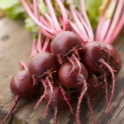 Beetroot Boltardy Vegetable Seeds for Planting