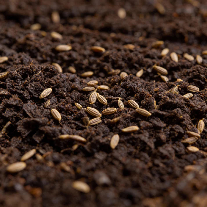 Green Dixie Lee Vegetable Mix Seeds