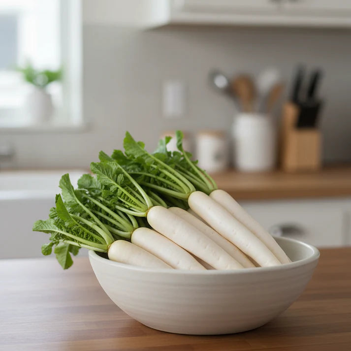 Tillage Radish Seeds for Planting