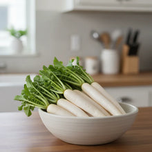 Tillage Radish Seeds for Planting