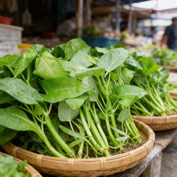 Kangkong Water Spinach White Stem Seeds
