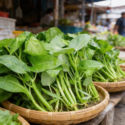 Kangkong Water Spinach White Stem Seeds
