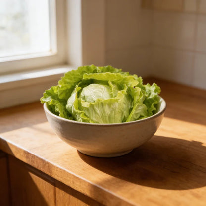 Organic Iceberg Lettuce Seeds for Home Garden