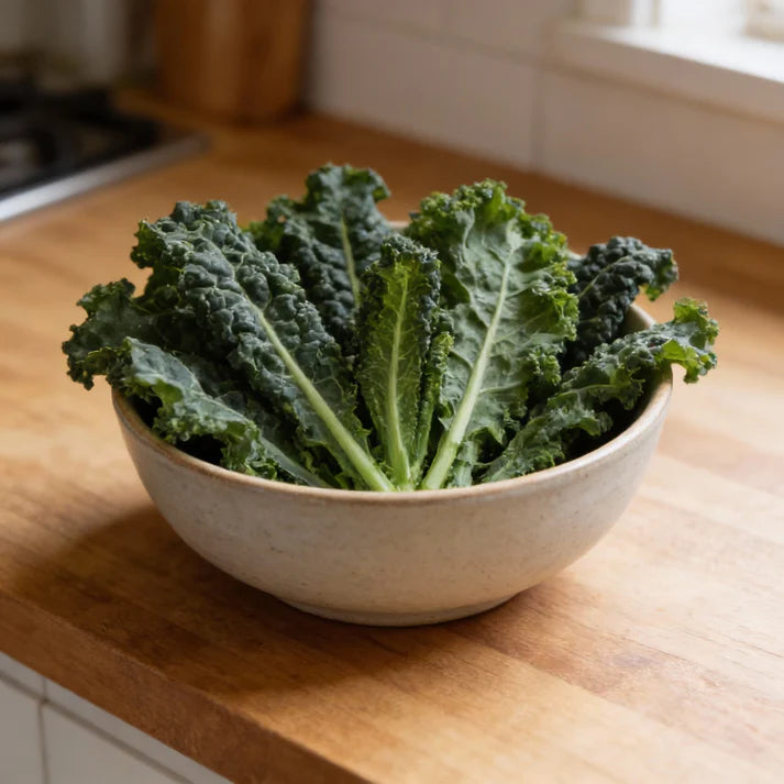 Kale Nero Di Toscana Seeds for Home Gardening