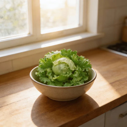 Great Lakes Lettuce Seeds for Home Gardens