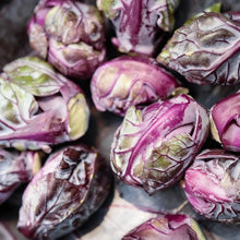 Heirloom Purple Red Brussels Sprout Seeds