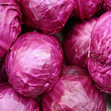 Cabbage Rigoletto Seeds for Home Garden