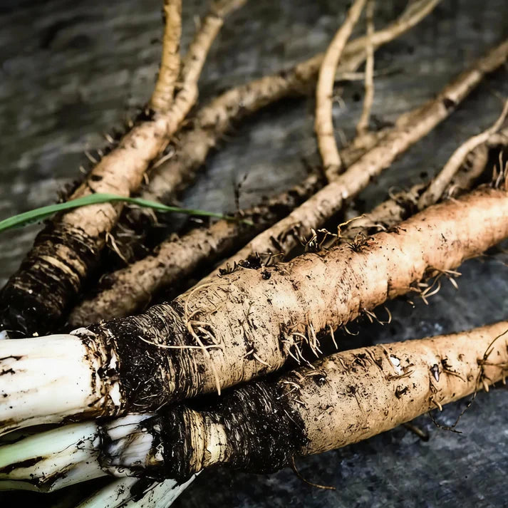Salsify Sandwich Island Vegetable Seeds for Planting