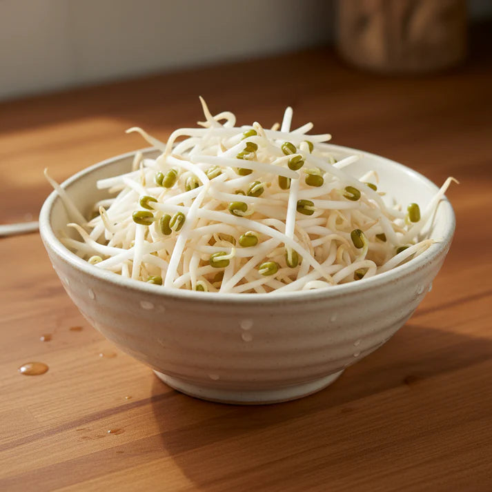 Alfalfa Sprouting Seeds for Home Gardening