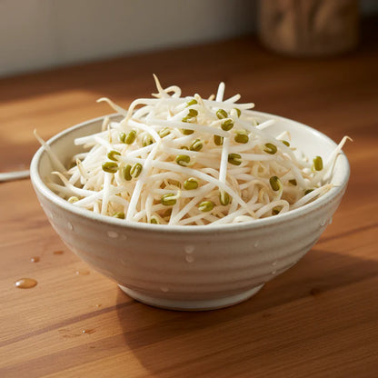 Alfalfa Sprouting Seeds for Home Gardening