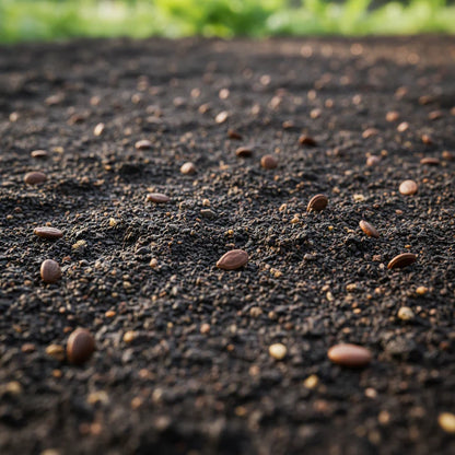 Tyee Spinach Seeds for Planting