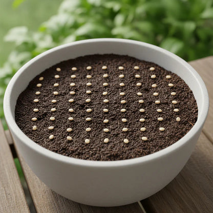Kashmiri Saag Seeds for Planting