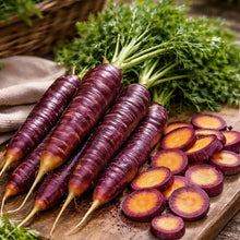Purple Haze Carrot Seeds Heirloom Purple Carrot for Home Garden