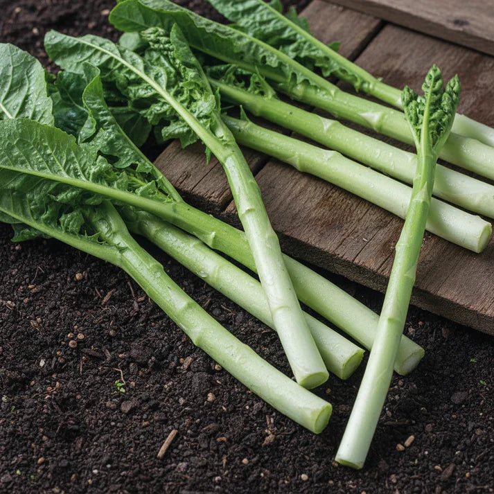 Asparagus Lettuce Seeds for Home Garden