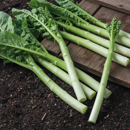 Asparagus Lettuce Seeds for Home Garden