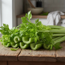 Tender Crisp Celery Seeds for Home Garden