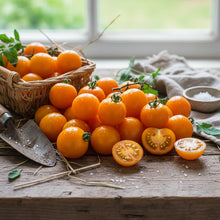 Tomato Jaune Flamme Seeds – Yellow Cherry Tomato Seeds for Home Garden