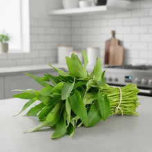 Kangkong Water Spinach Bamboo Leaf Seeds for Planting