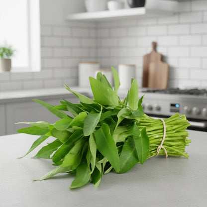 Kangkong Water Spinach Bamboo Leaf Seeds for Planting