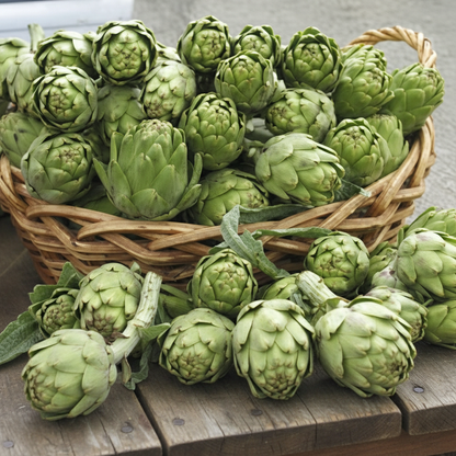 Italian Green Globe Artichoke Seeds Gourmet Garden Variety