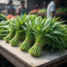 Kang Kong Vegetable Seeds for Planting