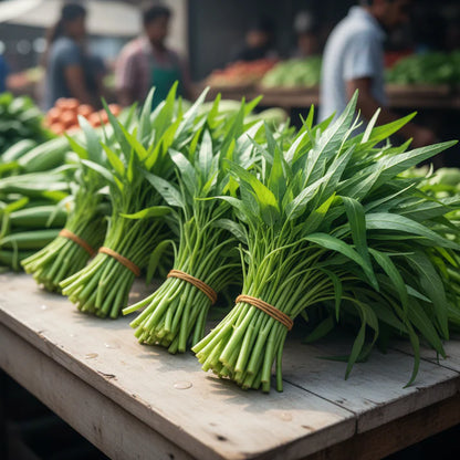 Kang Kong Vegetable Seeds for Planting
