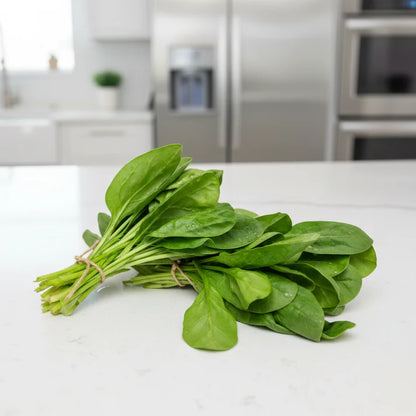 Avon Spinach Seeds for Planting