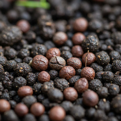 Broccoli Heirloom Mix Seeds for Home Garden