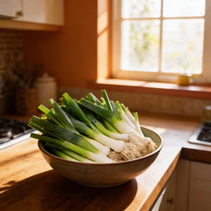 Leek Giant Winter Vegetable Seeds for Home Garden